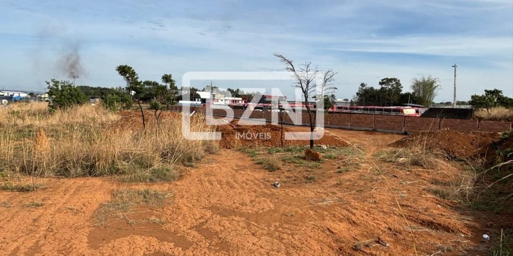 WhatsApp Image 2025-11-17 at 10.06.02