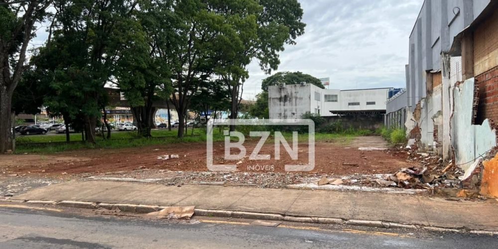 WhatsApp Image 2026-02-12 at 00.04.55