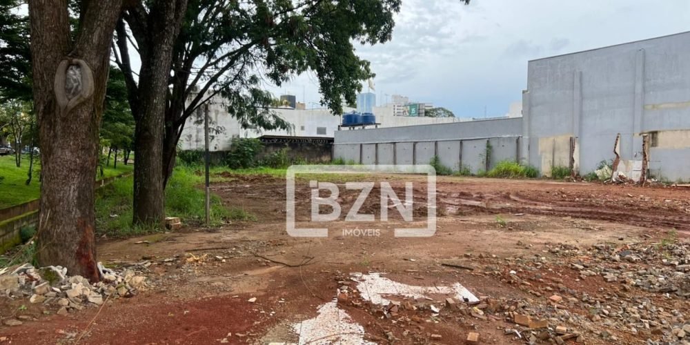 WhatsApp Image 2026-02-12 at 00.04.57