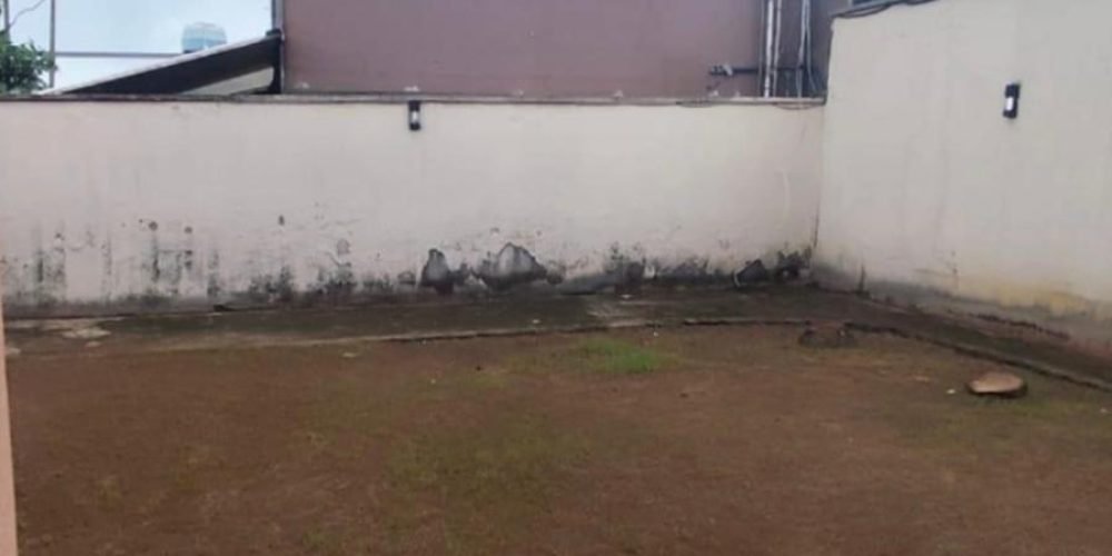 WhatsApp Image 2026-02-12 at 16.44.10