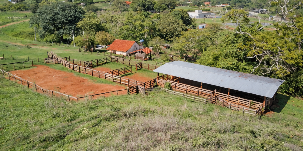 fazenda bzn