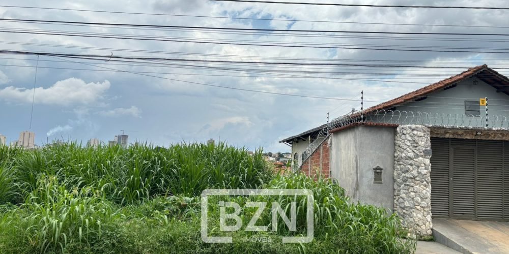 jardim ana paula (1)